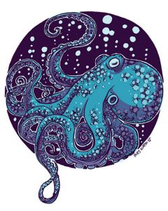 octopus