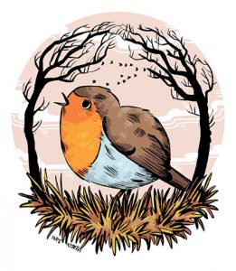 robin red breast illustration