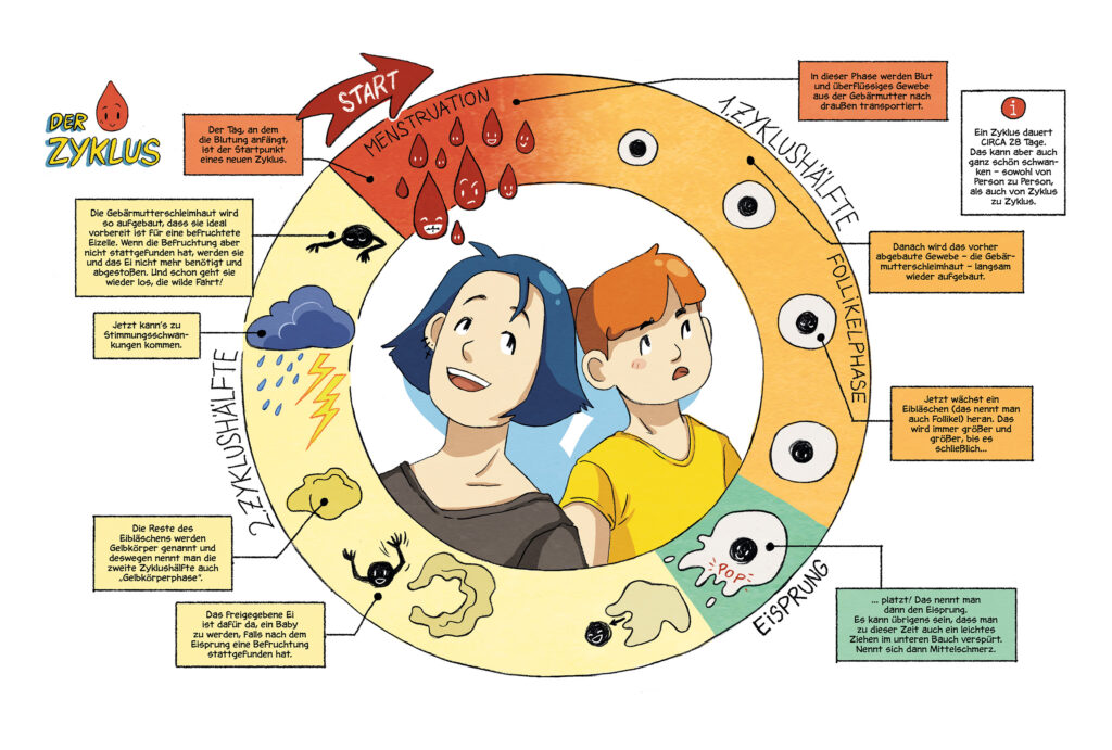 Pages 30 and 31 from "Das Regelwerk" showing the menstrual cycle